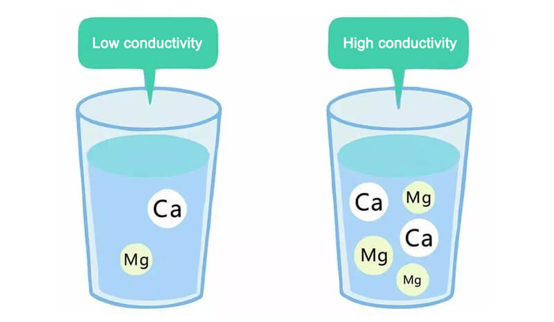 The Impact of Electrical Conductivity on Water Quality.jpg