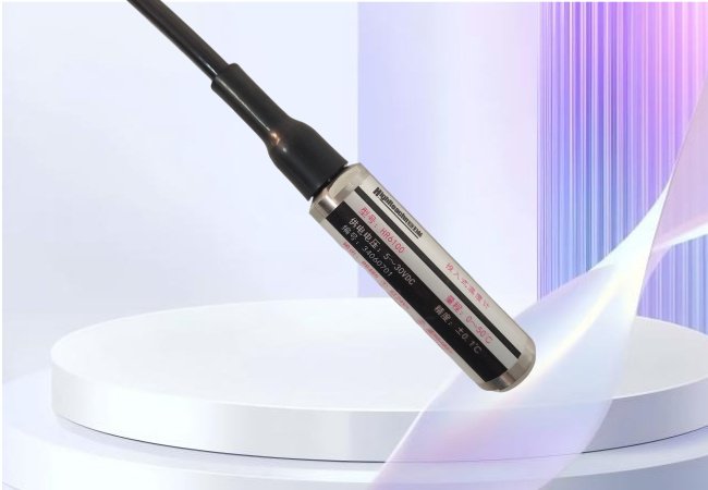 BT6100 Insertion Type Digital Temperature Transmitter
