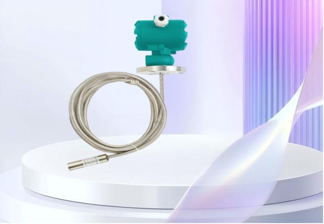 BT8000RK Level Transmitters