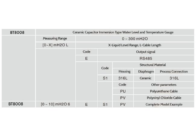 BT8008 Ceramic Capacitive Water Level & Temperature Sensor